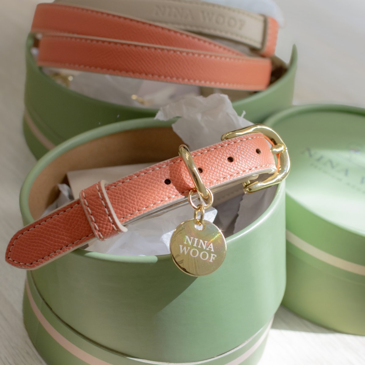 Nina Woof Rio Dog Collar – Vegan Leather