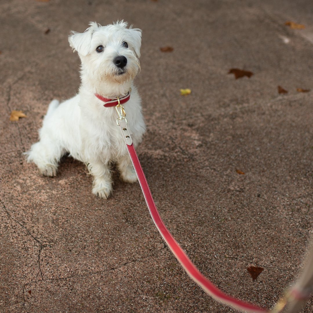 Nina Woof Copenhagen Dog Leash – Vegan Leather, 4ft