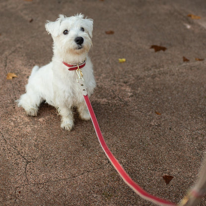 Nina Woof Copenhagen Dog Leash – Vegan Leather, 4ft