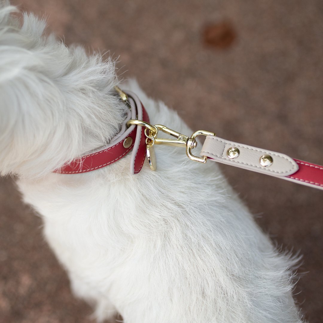 Nina Woof Copenhagen Dog Leash – Vegan Leather, 4ft