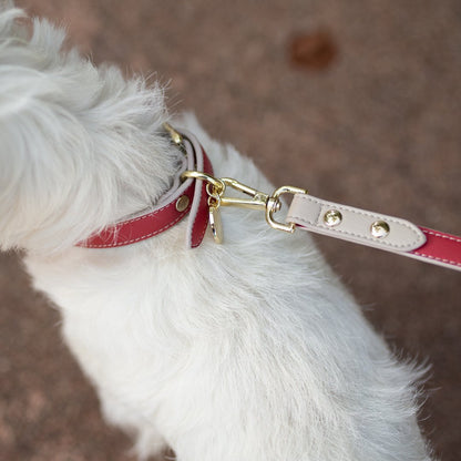 Nina Woof Copenhagen Dog Leash – Vegan Leather, 4ft