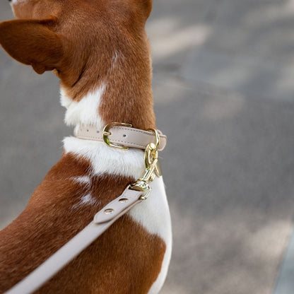 Nina Woof Copenhagen Dog Collar – Vegan Leather