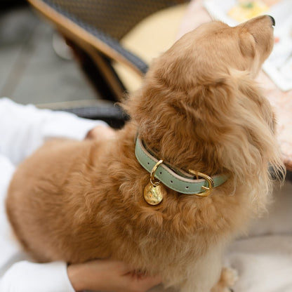 Nina Woof Copenhagen Dog Collar – Vegan Leather