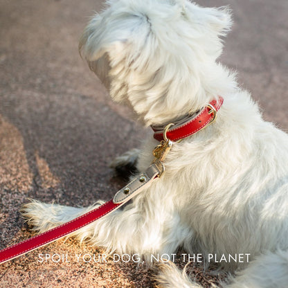 Nina Woof Copenhagen Dog Collar – Vegan Leather