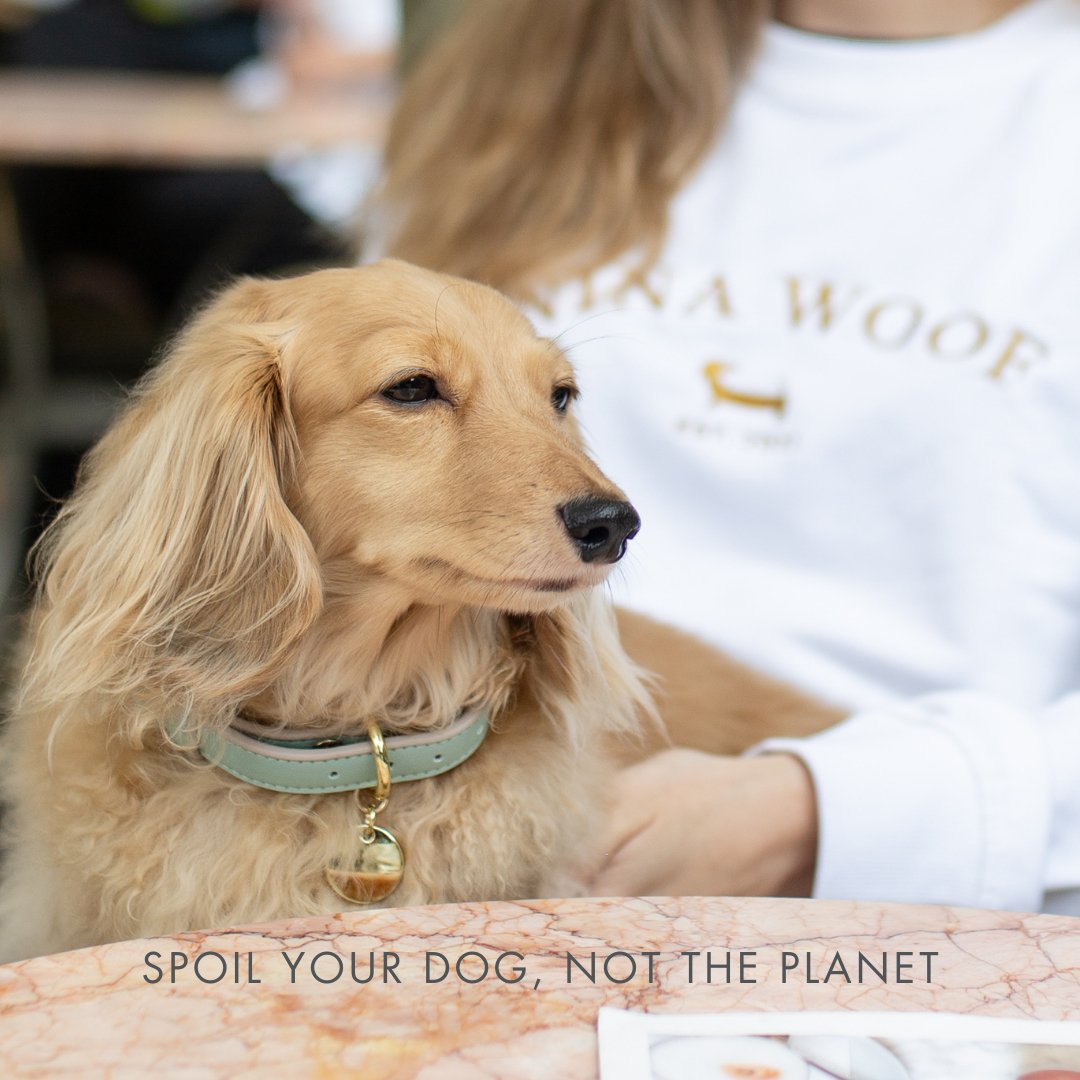Nina Woof Copenhagen Dog Collar – Vegan Leather