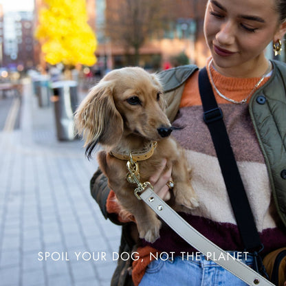 Nina Woof Copenhagen Dog Collar – Vegan Leather