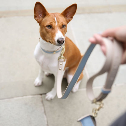 Nina Woof Cupertino Dog Leash – Vegan Leather, 4ft