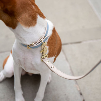 Nina Woof Cupertino Dog Leash – Vegan Leather, 4ft