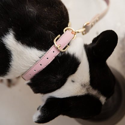 Nina Woof Cupertino AirTag Dog Collar – Vegan Leather
