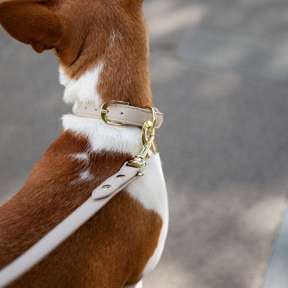 Nina Woof Cupertino AirTag Dog Collar – Vegan Leather