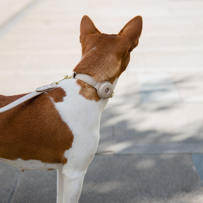 Nina Woof Cupertino AirTag Dog Collar – Vegan Leather