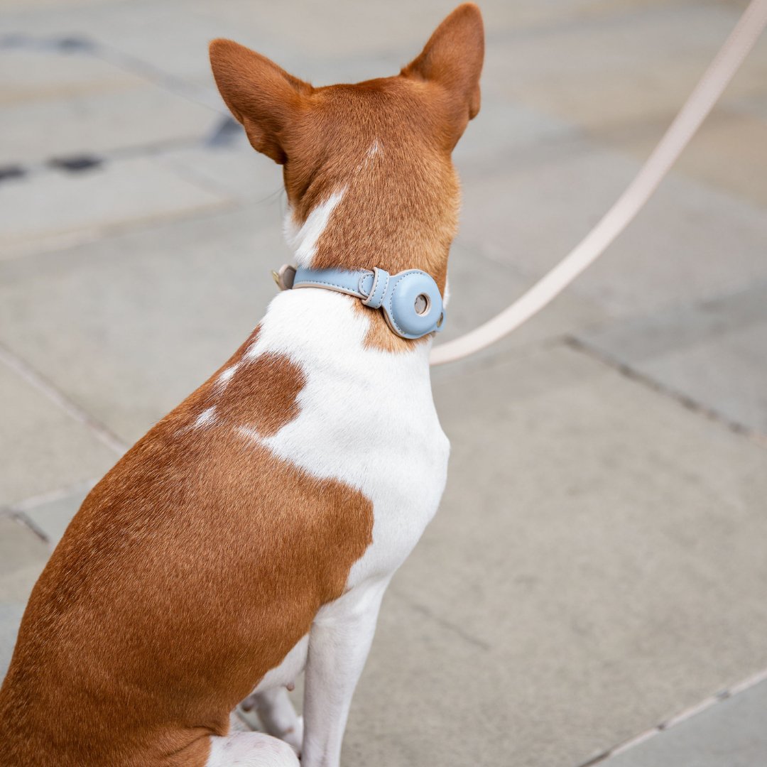 Nina Woof Cupertino AirTag Dog Collar – Vegan Leather