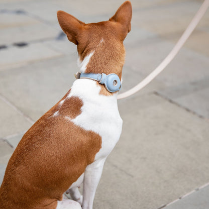 Nina Woof Cupertino AirTag Dog Collar – Vegan Leather