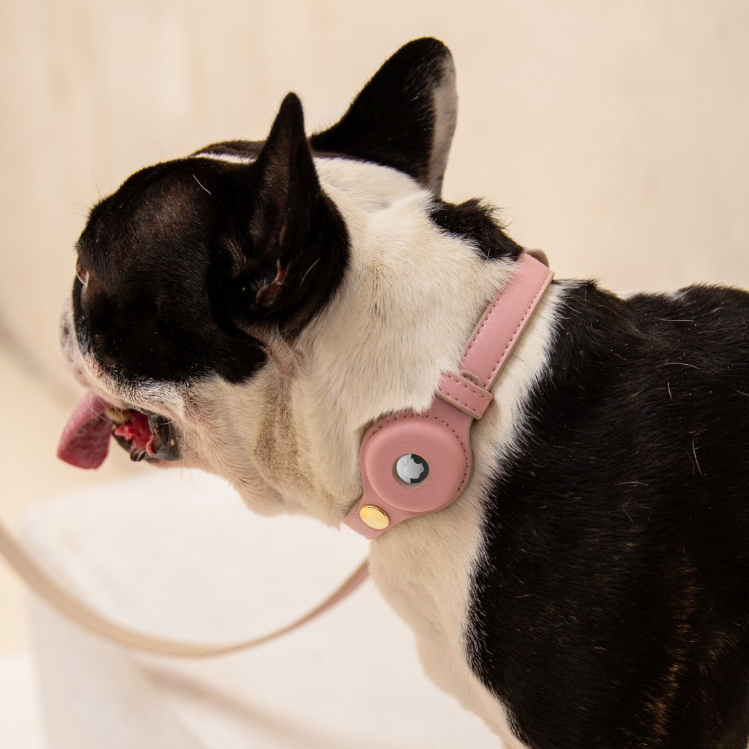 Nina Woof Cupertino AirTag Dog Collar – Vegan Leather