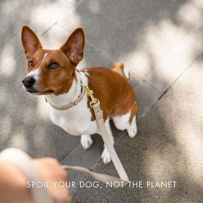 Nina Woof Cupertino AirTag Dog Collar – Vegan Leather