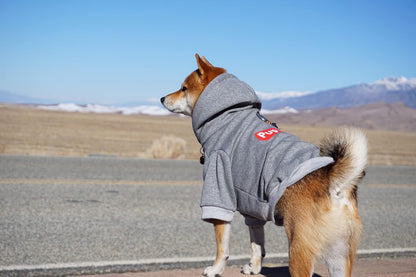 Pup Dog Hoodie – Gray Medium Cotton Fleece-Lined Pet Sweatshirt for Dogs and Cats