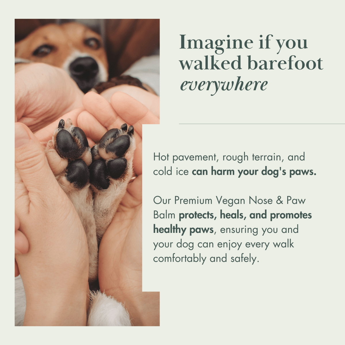 Nina Woof Dog Vegan Nose and Paw Balm