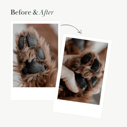 Nina Woof Dog Vegan Nose and Paw Balm
