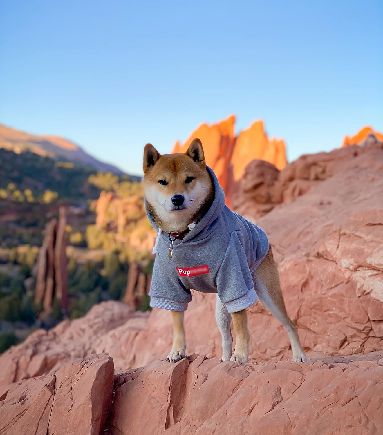 Pup Dog Hoodie – Gray Medium Cotton Fleece-Lined Pet Sweatshirt for Dogs and Cats