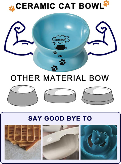 Elevated Ceramic Cat Bowl – Tilted Anti-Vomiting Raised Dish in Lake Blue