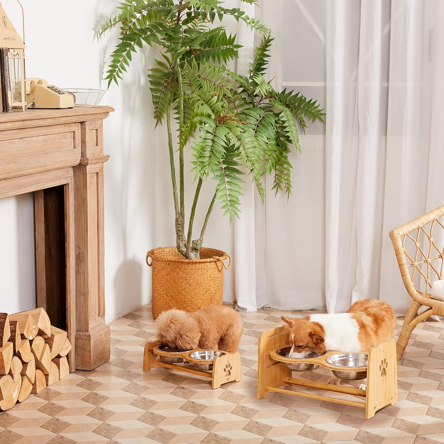 Adjustable Bamboo Elevated Pet Bowls – Raised Dog & Cat Feeder with 2 Stainless Steel Bowls