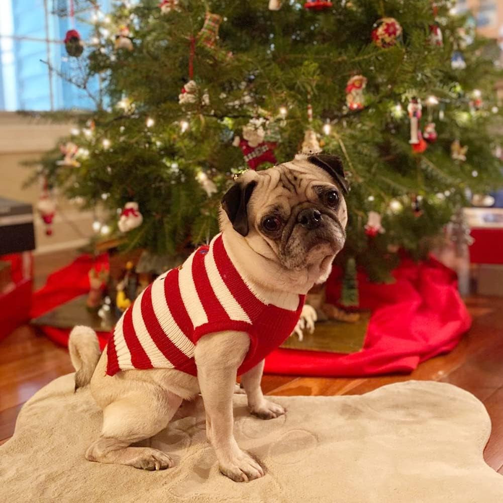 Red Christmas Reindeer Dog Sweater – XL Warm Holiday Pet Sweater for Dogs and Cats