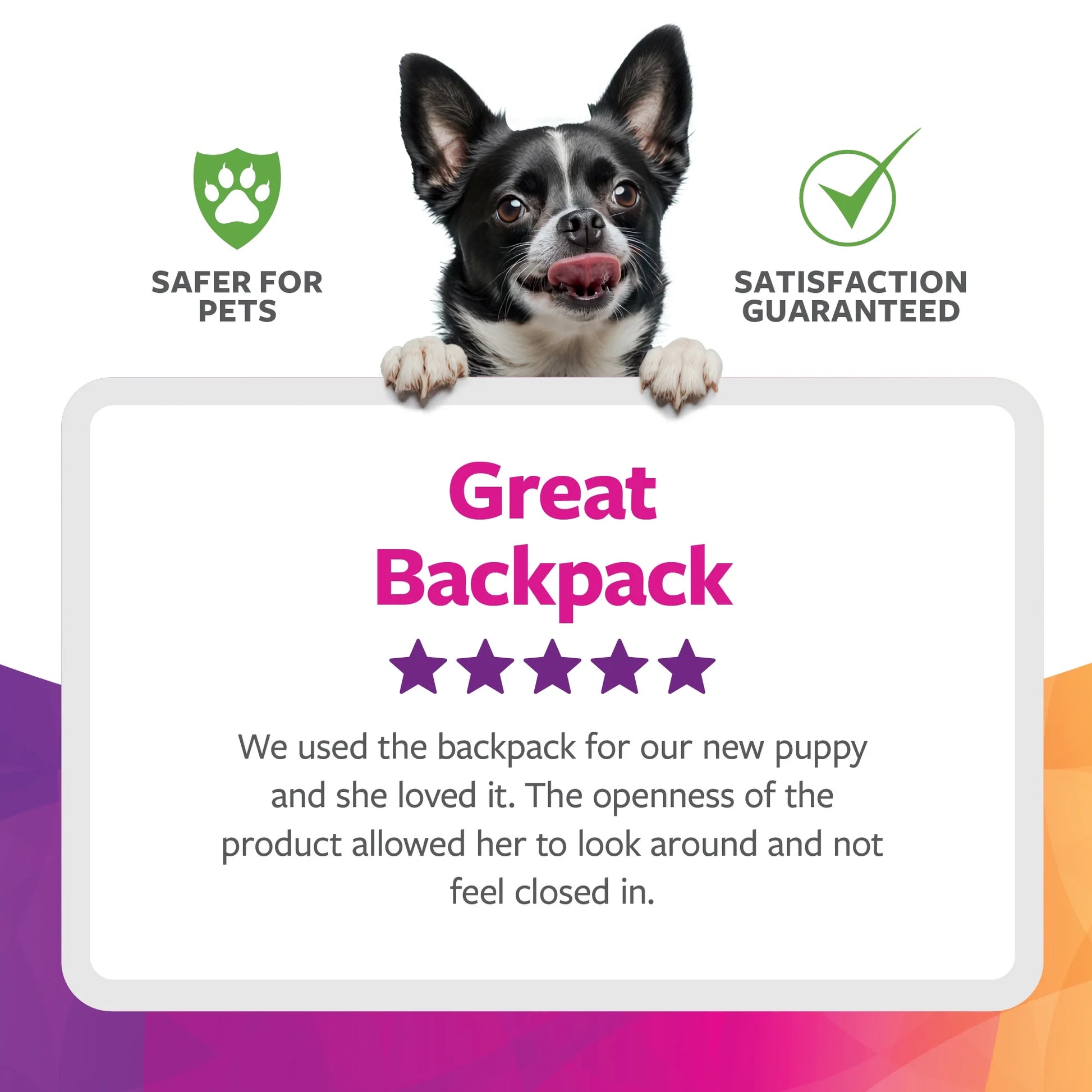 2-in-1 Pet Travel Backpack – Grey