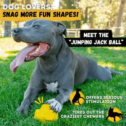 Giant Halo Ball Dog Toy – Heavy-Duty Rubber Toy for Aggressive Chewers