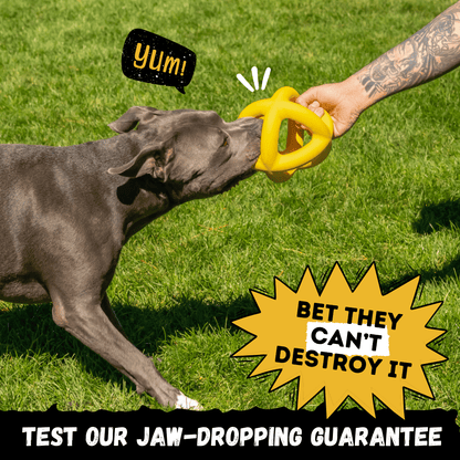 Giant Halo Ball Dog Toy – Heavy-Duty Rubber Toy for Aggressive Chewers
