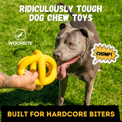 Giant Halo Ball Dog Toy – Heavy-Duty Rubber Toy for Aggressive Chewers