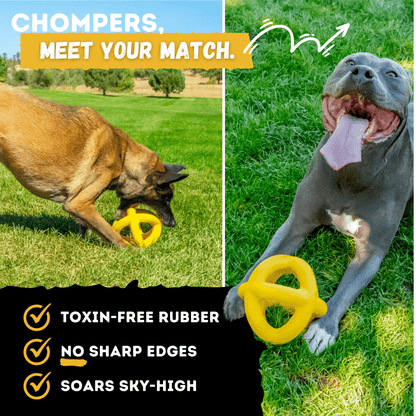 Giant Halo Ball Dog Toy – Heavy-Duty Rubber Toy for Aggressive Chewers