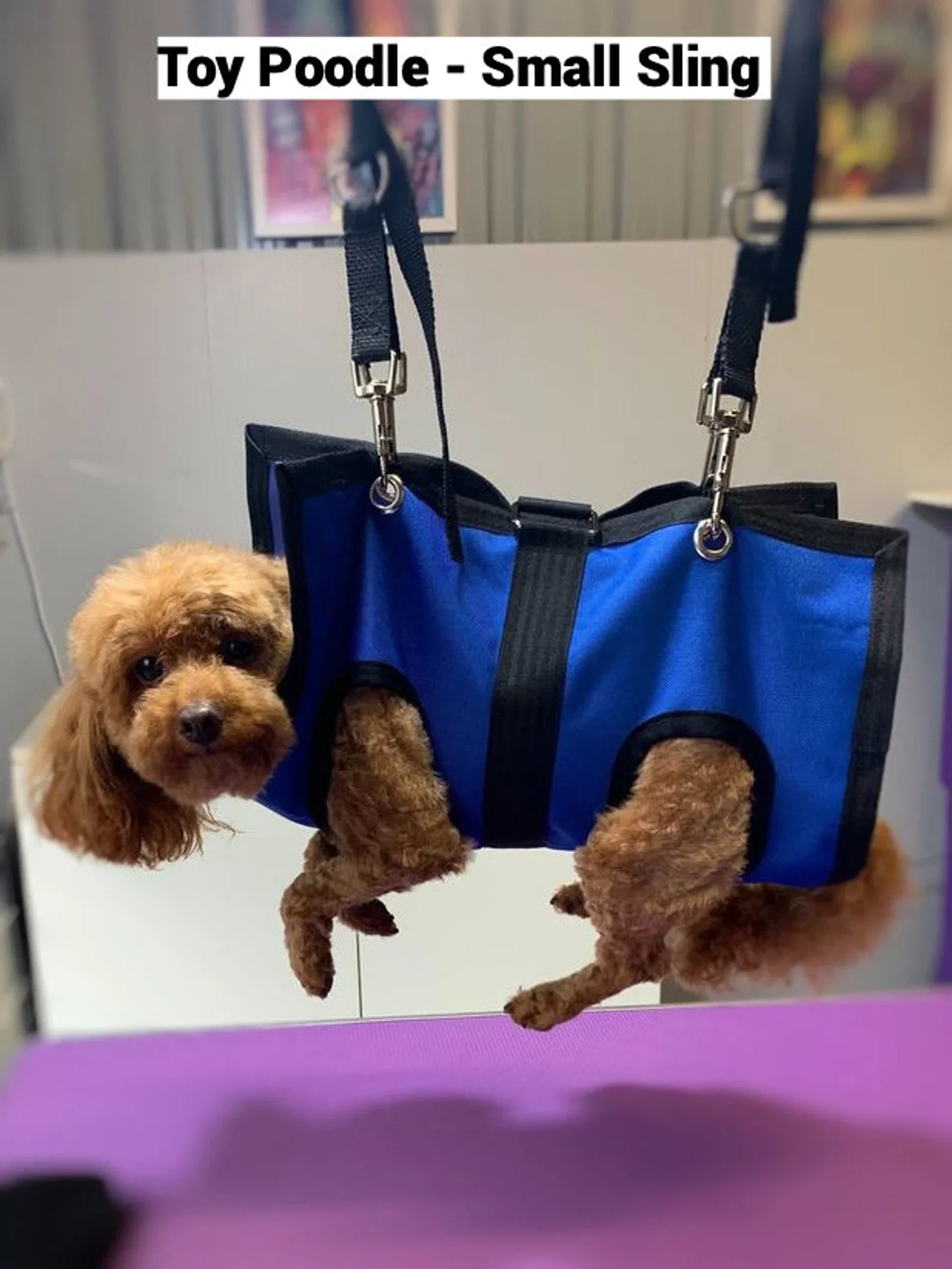 Pet Grooming Sling for Dogs & Cats