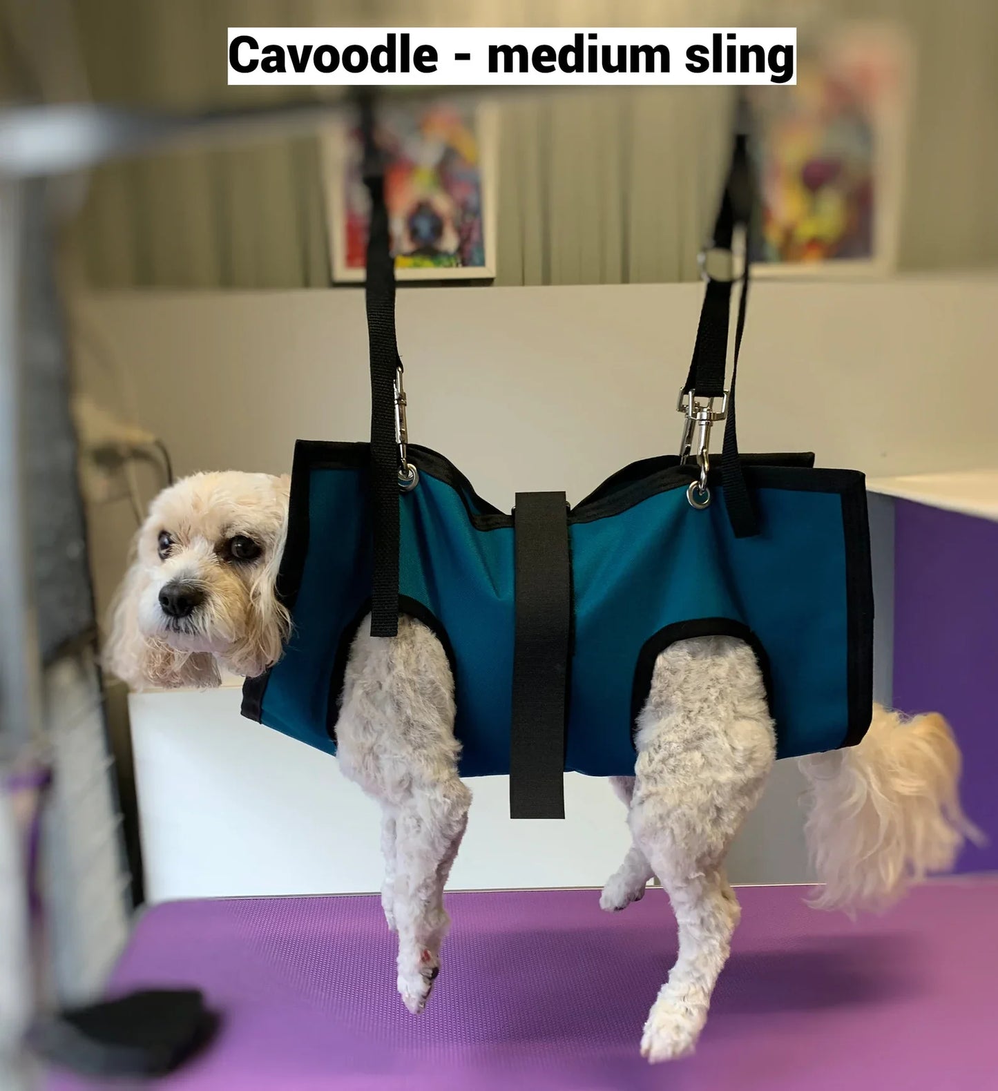 Pet Grooming Sling for Dogs & Cats