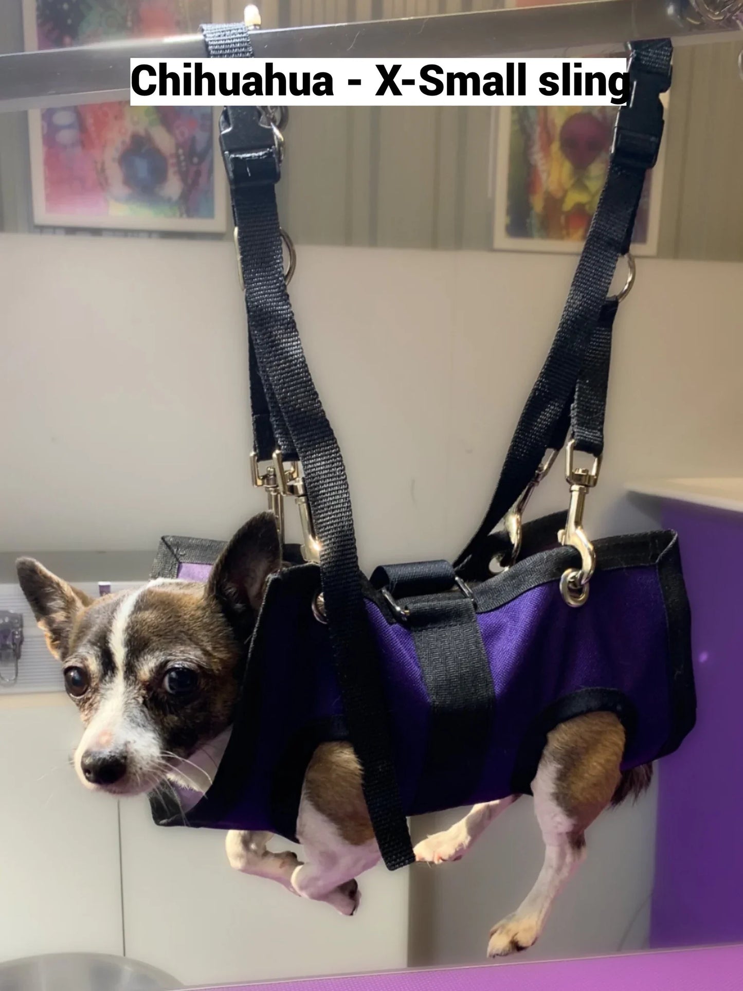 Pet Grooming Sling for Dogs & Cats