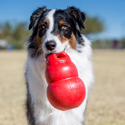 KONG Bounzer XLarge Dog Toy – Oversized Fetch & Bounce Toy