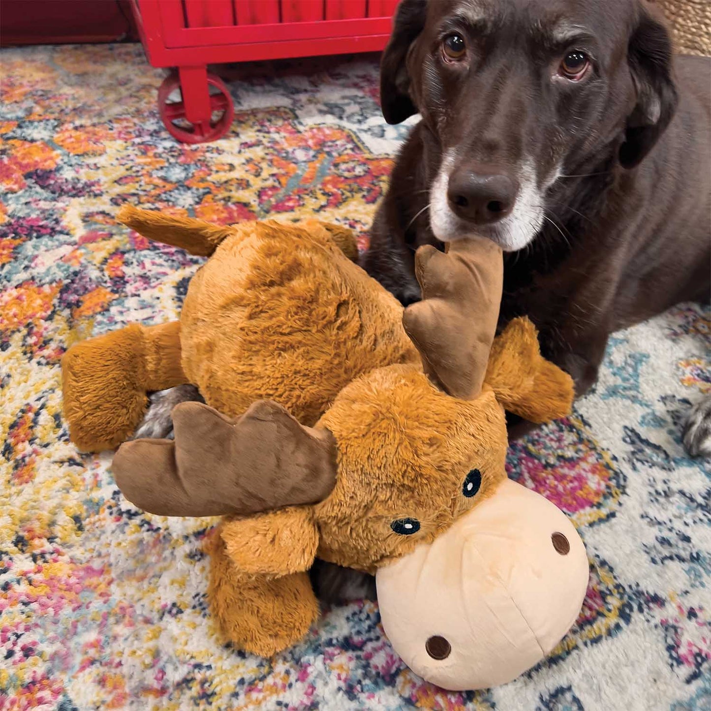 KONG Cozie Jumbo Marvin – XL Plush Moose Dog Toy