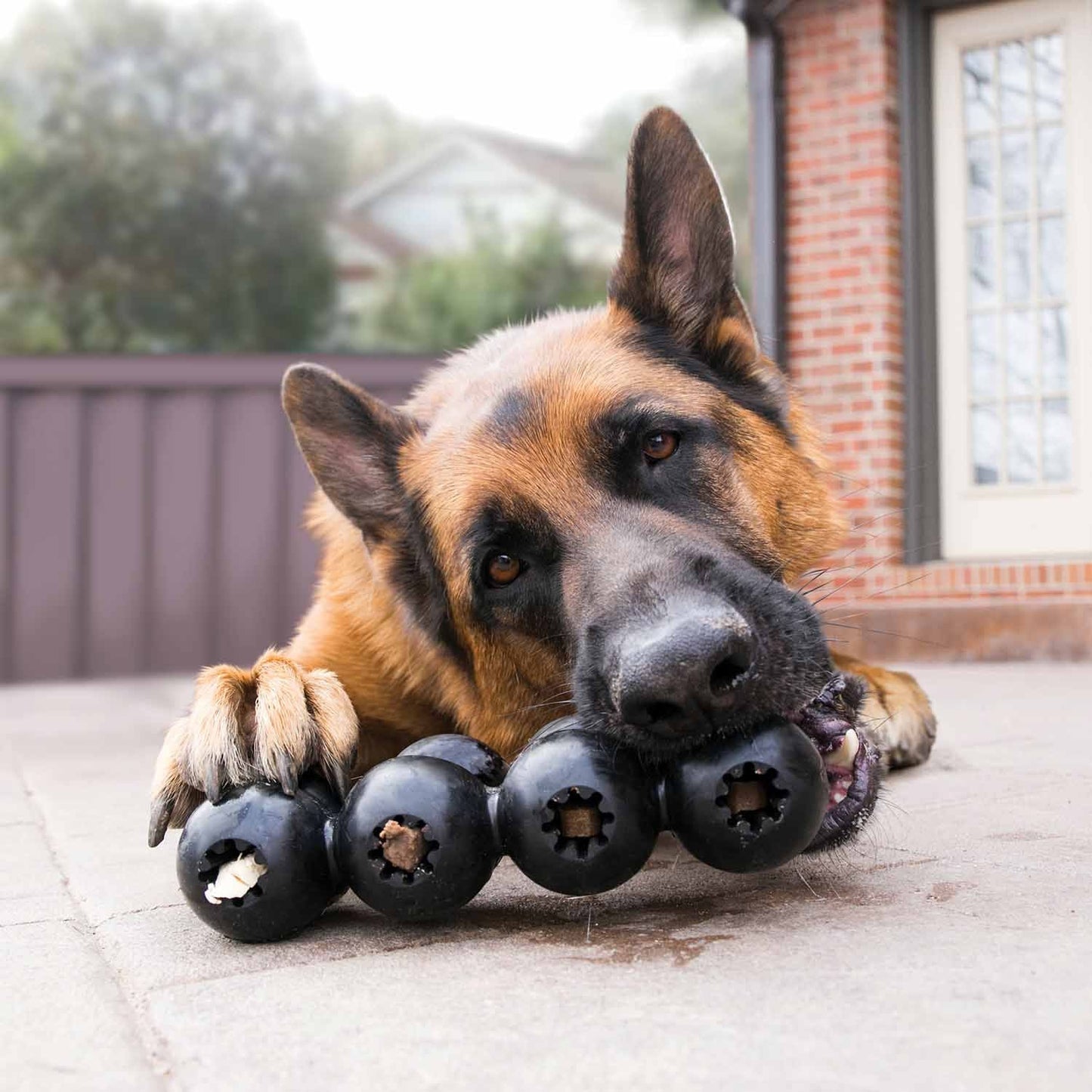 KONG Extreme Goodie Ribbon – Tough Treat-Filling Dog Toy