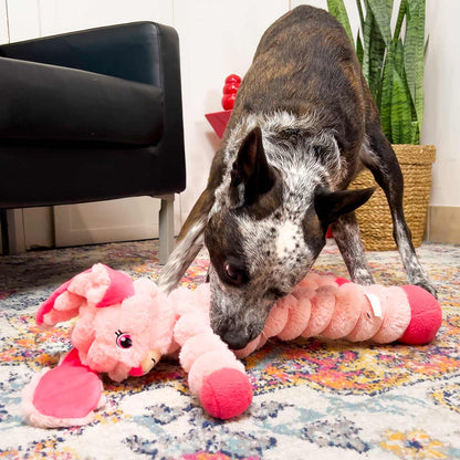 KONG Shakers Crumples – Jumbo Plush Dog Toy