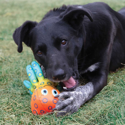 KONG Shieldz Tropics Dog Toy – Medium Squeaky Floating Toy