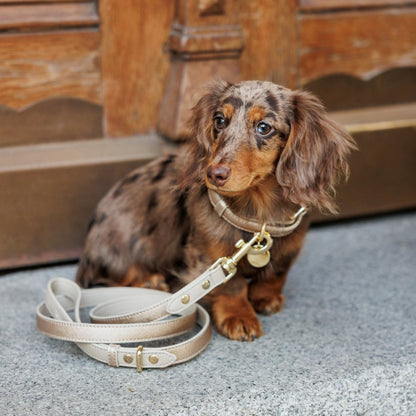 Nina Woof Vegan Leather Dog Leash – 4ft