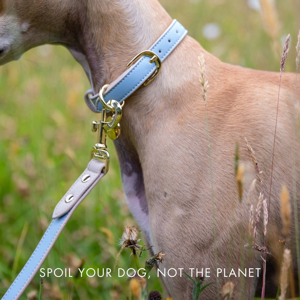 Nina Woof Vegan Leather Dog Leash – 4ft