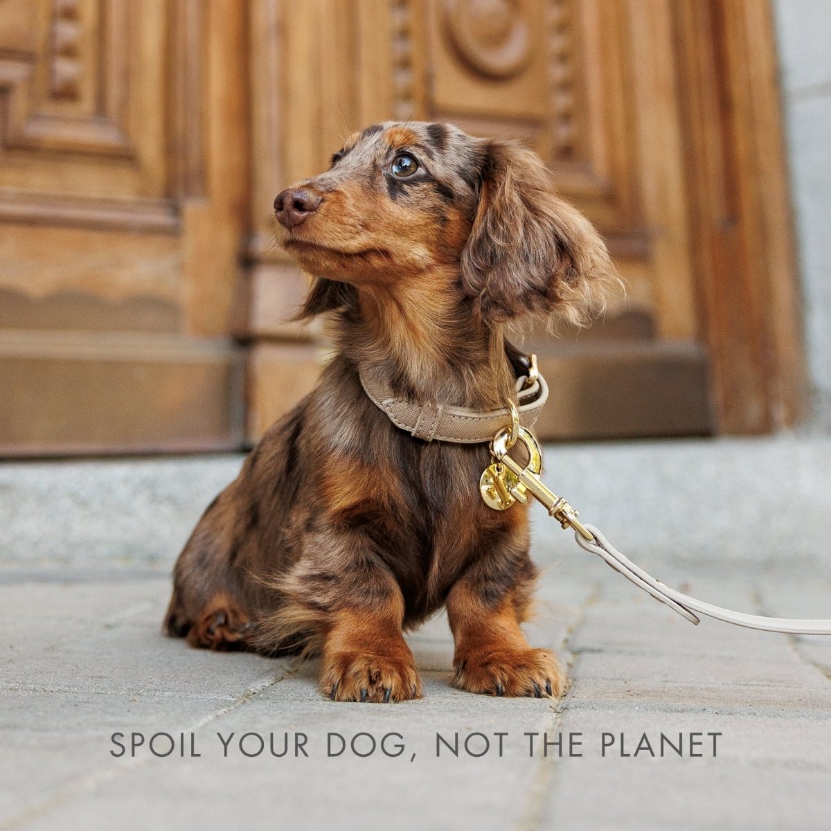 Nina Woof Vegan Leather Dog Leash – 4ft