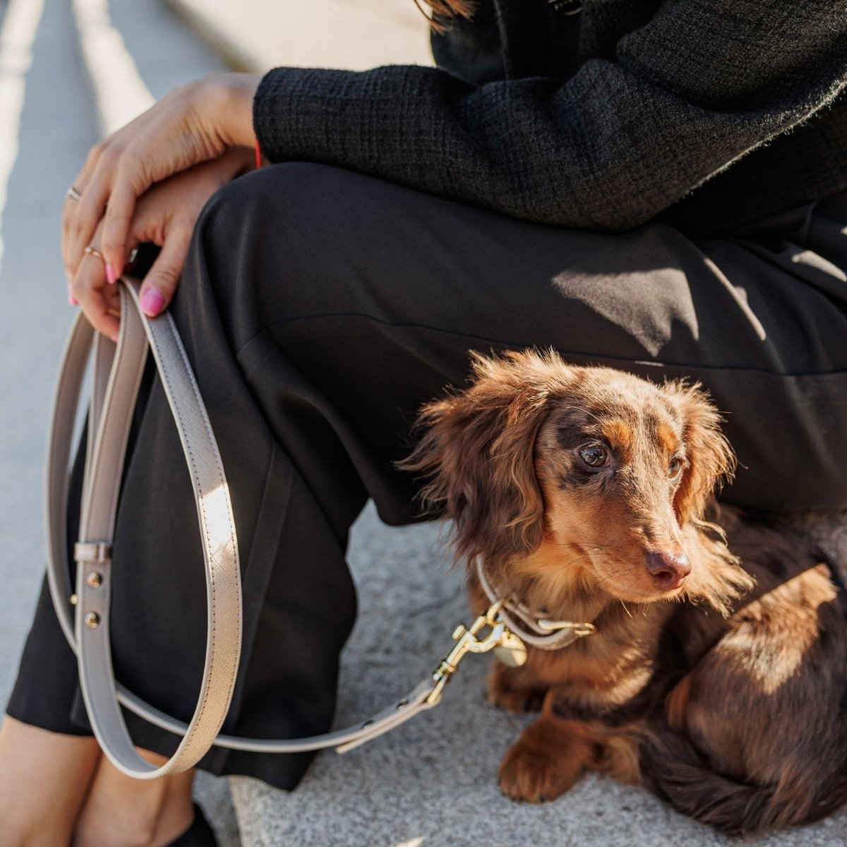 Nina Woof Vegan Leather Dog Leash – 4ft