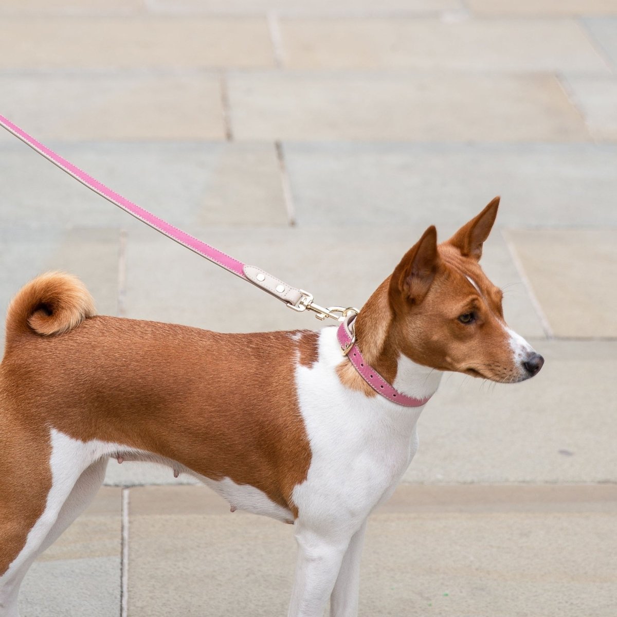 Nina Woof Vegan Leather Dog Leash – 4ft