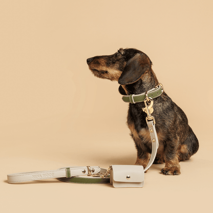 Nina Woof Vegan Leather Dog Leash – 4ft