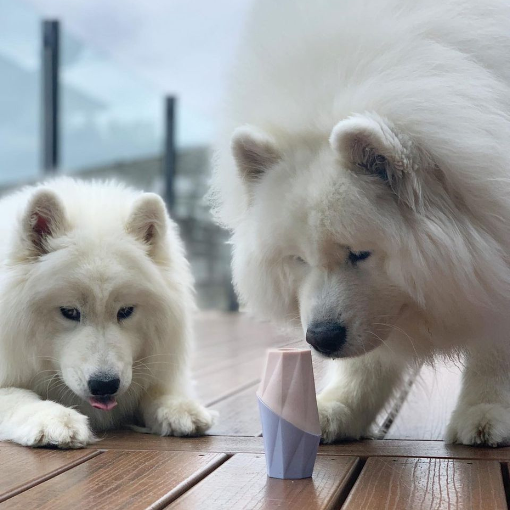 The Ubbe Dog Licking Toy – Modern Treat Dispensing Toy