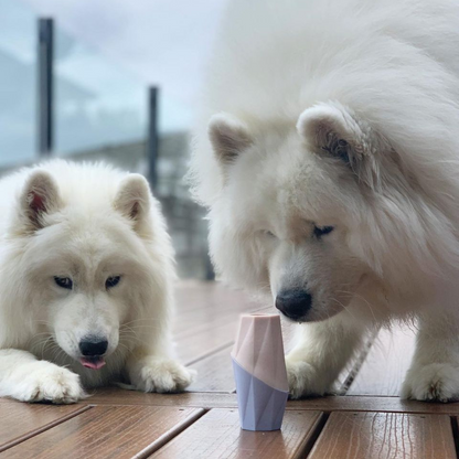 The Ubbe Dog Licking Toy – Modern Treat Dispensing Toy