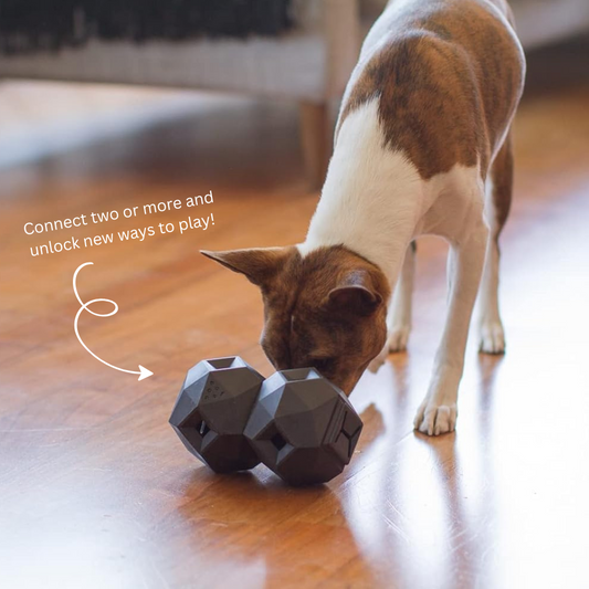 The Odin Dog Treat Dispensing Toy – Interactive Puzzle Feeder