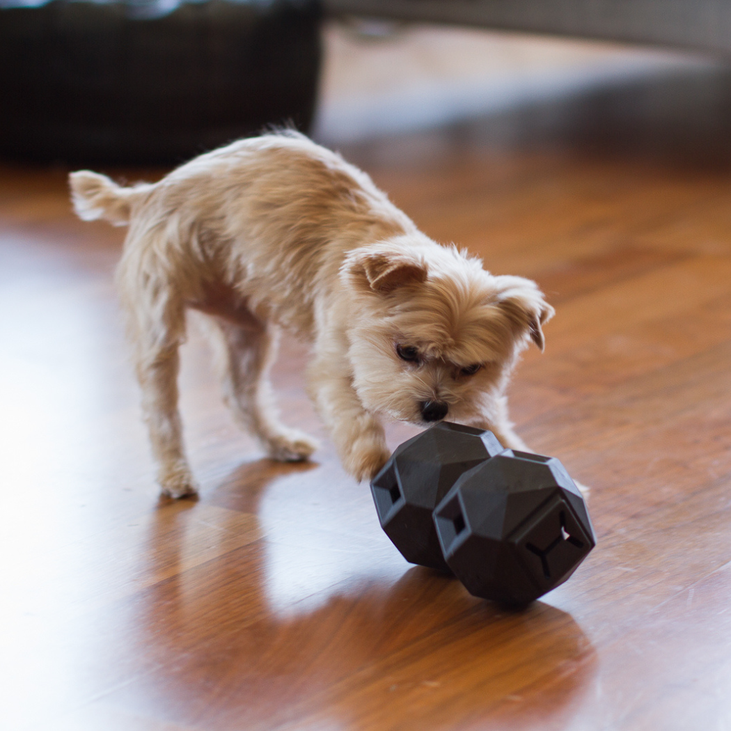 The Odin Dog Treat Dispensing Toy – Interactive Puzzle Feeder