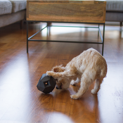 The Odin Dog Treat Dispensing Toy – Interactive Puzzle Feeder